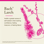 Bach Flower Remedies Larch 20 mL