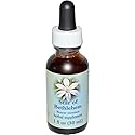 Flower Essence Services Star of Bethlehem Dropper Herbal Supplements, 1 Ounce