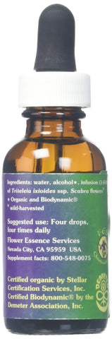 Flower Essence Services Dropper Herbal Supplements, Pretty Face, 1 Ounce