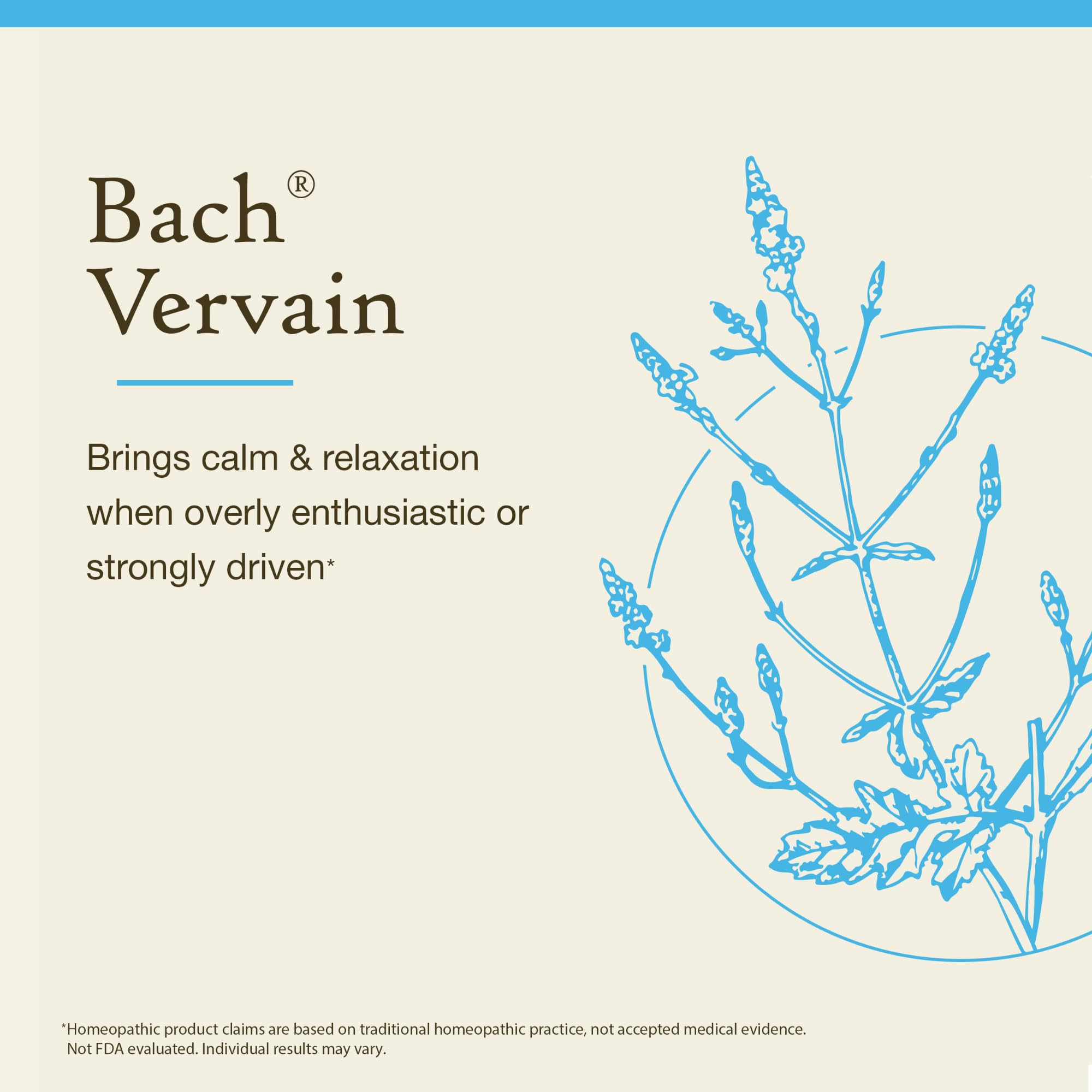 Bach Original Flower Remedies, Vervain - Relax & Calm - Natural Homeopathic Flower Essence for Emotional Balance - Vegan, Gluten