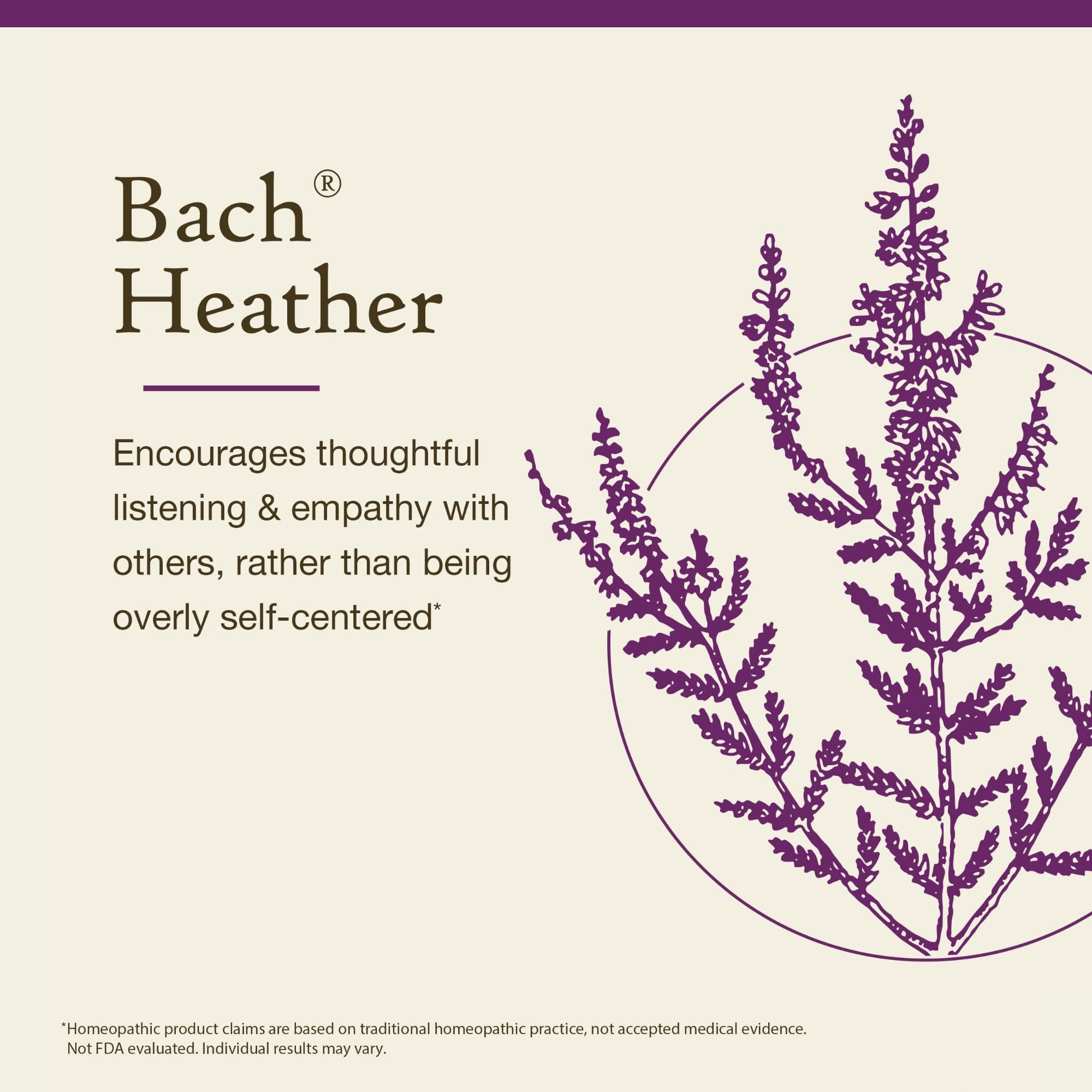 Bach Original Flower Remedies, Heather - Empathize & Listen - Natural Homeopathic Flower Essence for Emotional Balance - Vegan,