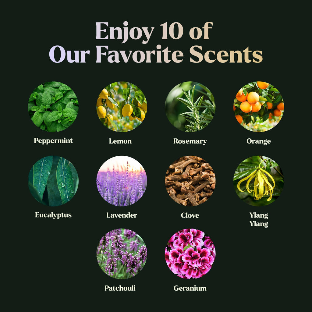 Lagunamoon 10-Pack Organic Essential Oils Set, 10mL, Top 10 Scents for Aromatherapy, Massage, Candle Making, Soap Scents, Office