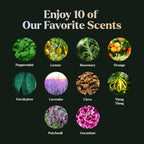 Lagunamoon 10-Pack Organic Essential Oils Set, 10mL, Top 10 Scents for Aromatherapy, Massage, Candle Making, Soap Scents, Office