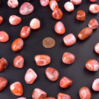 SigMntun Carnelian Healing Crystal Stone Set - 24 Pieces, 0.6 Natural & Polished Stones for Healing, Meditation, Reiki, Chakra,