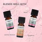 TISSERAND Rose Absolute Oil, 2 ML