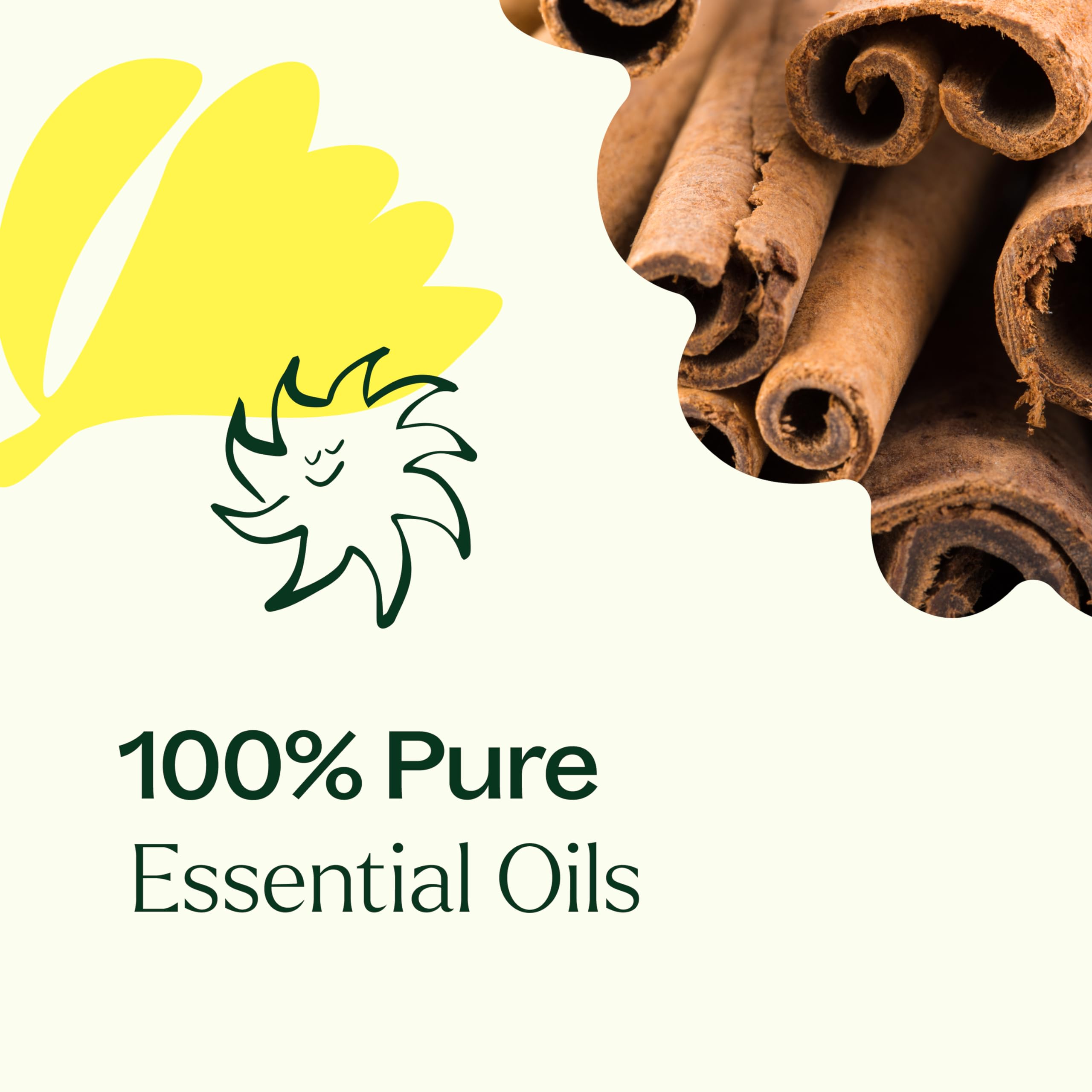 Plant Therapy Germ Fighter Essential Oil Blend 100% Pure, Undiluted, Natural Aromatherapy, Therapeutic Grade 30 mL (1 oz)