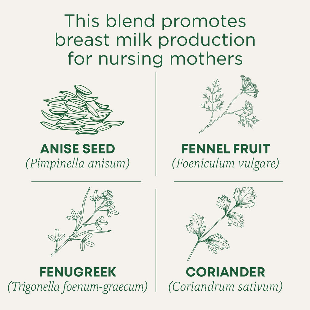 Traditional Medicinals Tea, Organic Mothers Milk, Promotes Healthy Lactation, Breastfeeding Support, 48 Tea Bags (3 Pack)