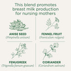 Traditional Medicinals Tea, Organic Mothers Milk, Promotes Healthy Lactation, Breastfeeding Support, 48 Tea Bags (3 Pack)