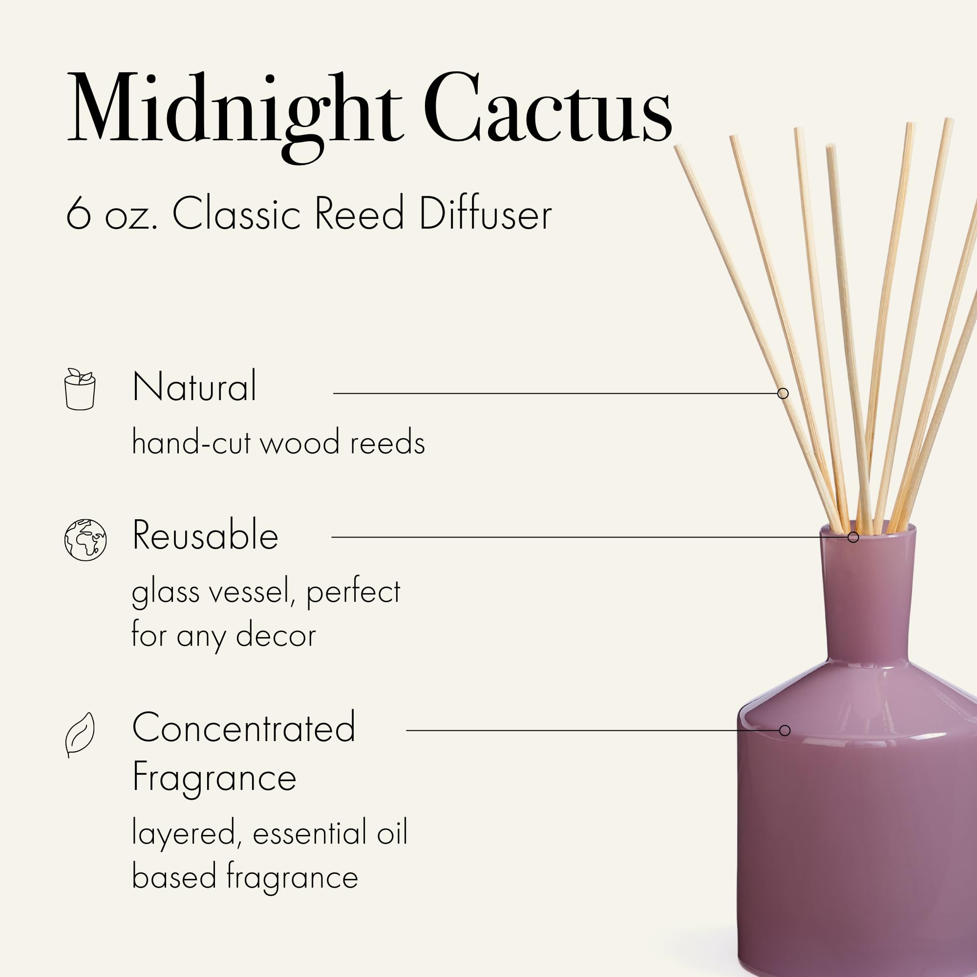 LAFCO New York Classic Reed Diffuser, Midnight Cactus - 6 oz - Up to 3 Months Fragrance Life - Reusable Glass Vessel - Natural W