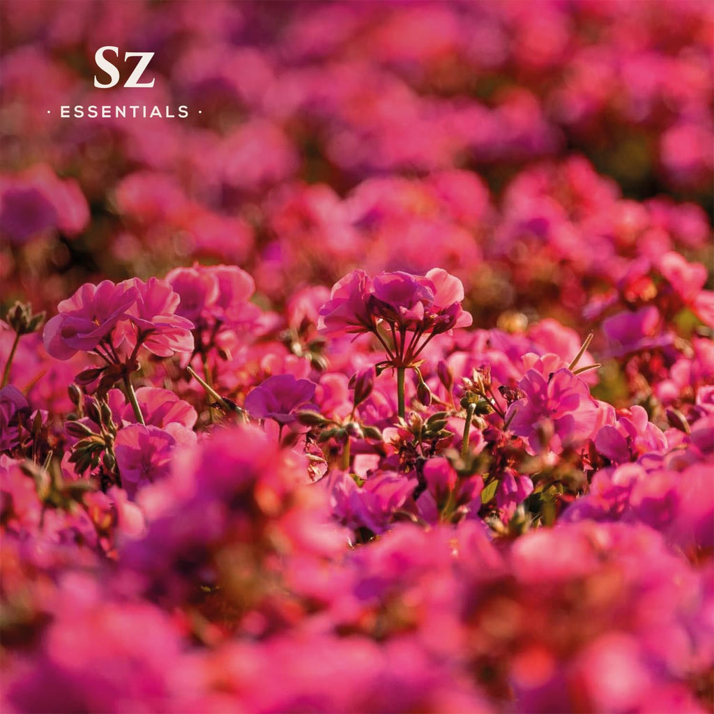 Sz Essentials - Geranium Ros   Essential Oil 5mL - 100% Pure & Natural - Pelargonium graveolens VAR. roseum - Sweet Rose-Geraniu
