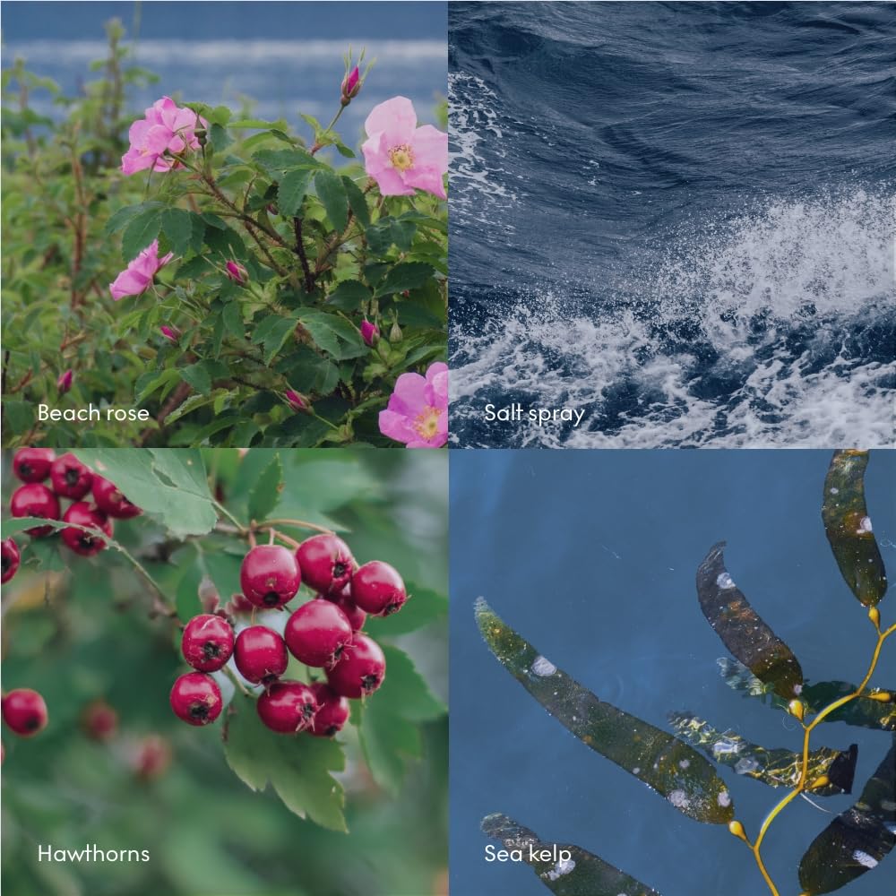 Skandinavisk HAV Sea Scent Diffuser with 8 Scents, Lasts +3 Months, Scent Notes: Salt Spray and Sea Kelp, Hawthorn and Beach R