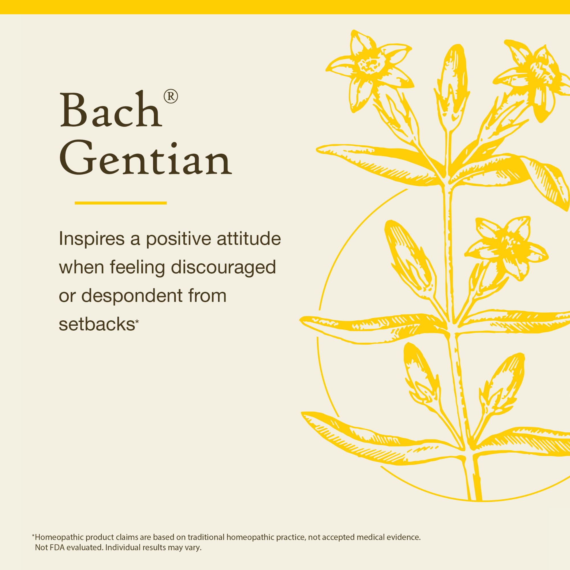 Bach Original Flower Remedy gentian 20 ml