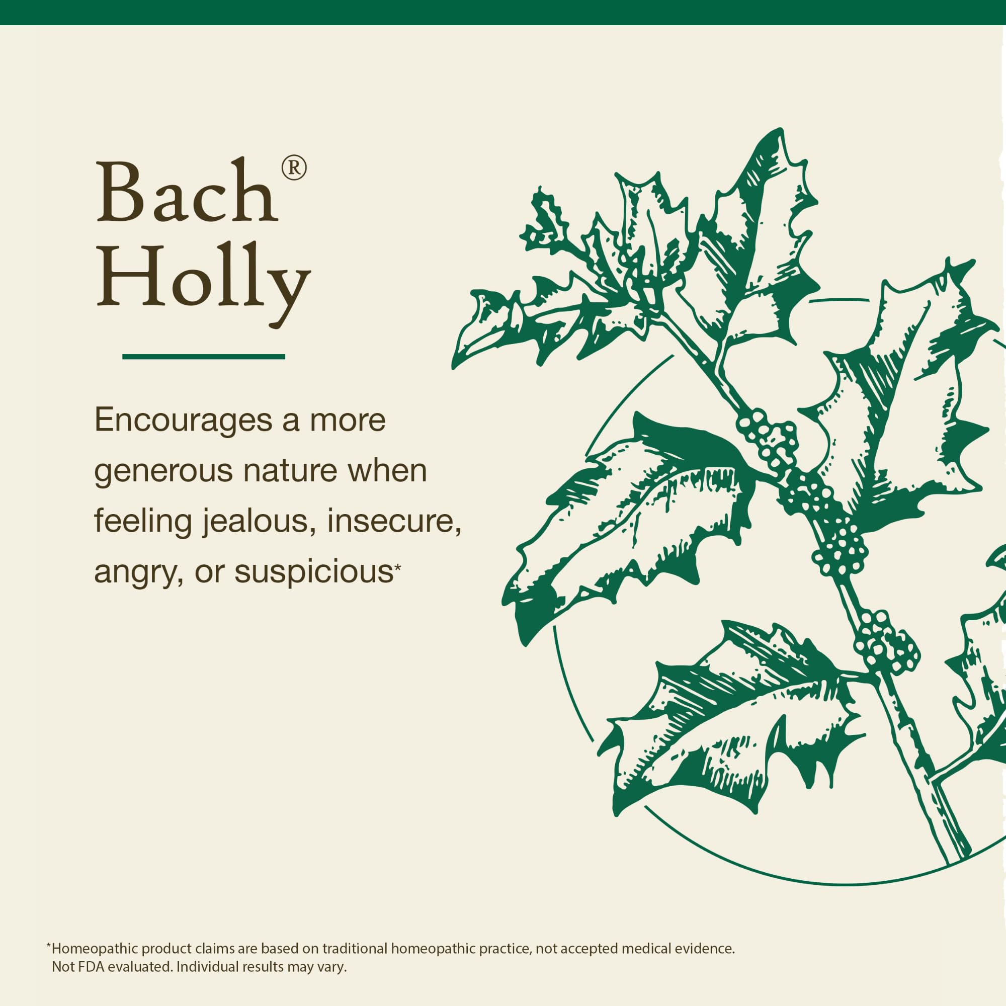 Bach Original Flower Remedies, Holly - Goodwill Towards Others - Natural Homeopathic Flower Essence for Emotional Balance - Vega