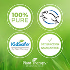 Plant Therapy Marjoram Sweet Essential Oil | 100% Pure, Undiluted, Natural Aromatherapy, Therapeutic Grade | 10 Milliliter (1/3