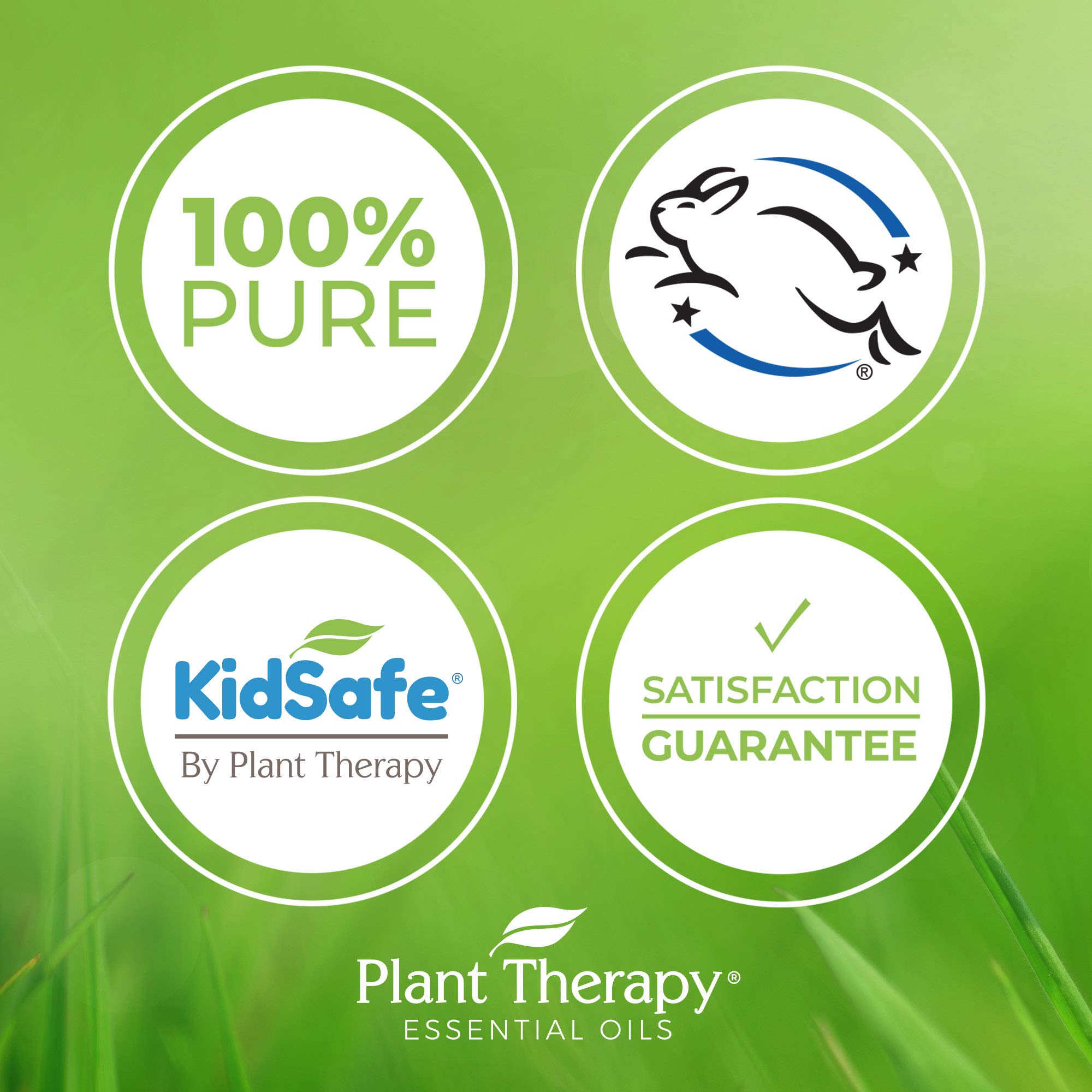 Plant Therapy Marjoram Sweet Essential Oil | 100% Pure, Undiluted, Natural Aromatherapy, Therapeutic Grade | 10 Milliliter (1/3