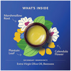 Motherlove Green Salve (1 oz) Family-Friendly Outdoor Adventure Ointment to Soothe Skin - USDA Organic