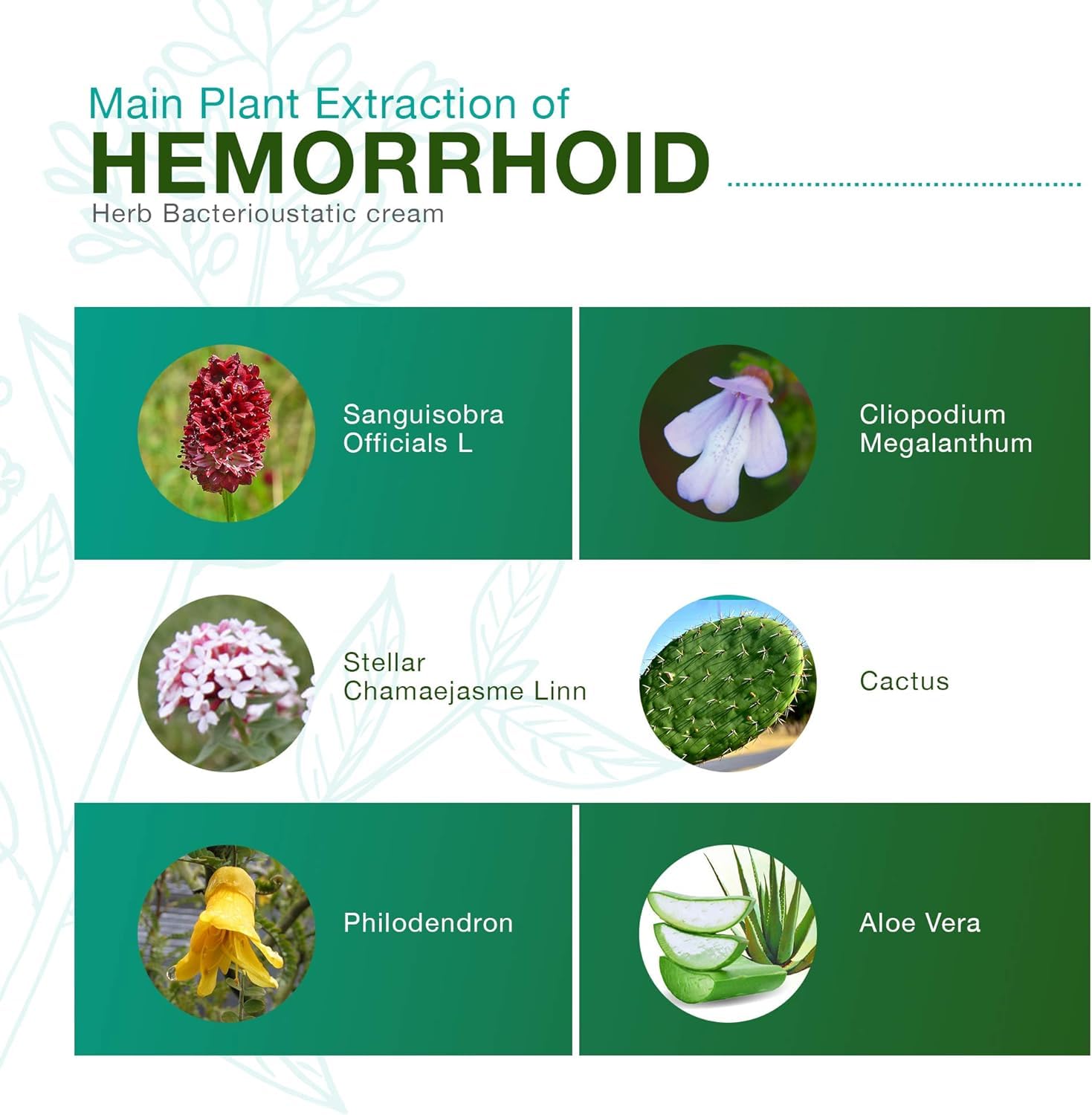 Reejoys Hemorrhoid Cream: Advanced Herbal Hemorrhoids Treatment Cream for Itching and Burning, Shrink & Soothe Hemorrhoids - 1.8