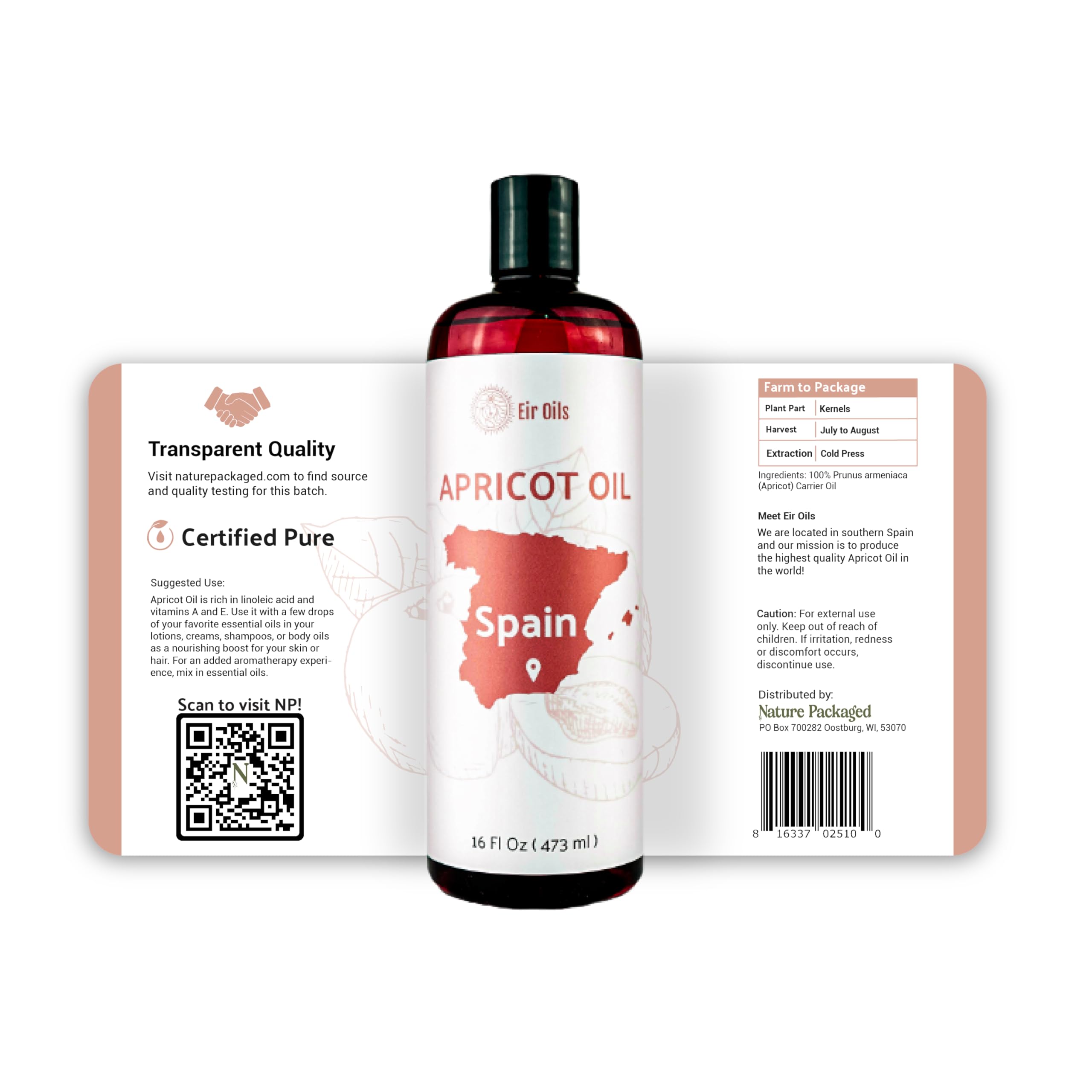 Nature Packaged Apricot Kernel Oil (16oz) - Direct from Spain and Turkey- 100% Pure Carrier Oil for Hair, Face, and Skin - Cold-
