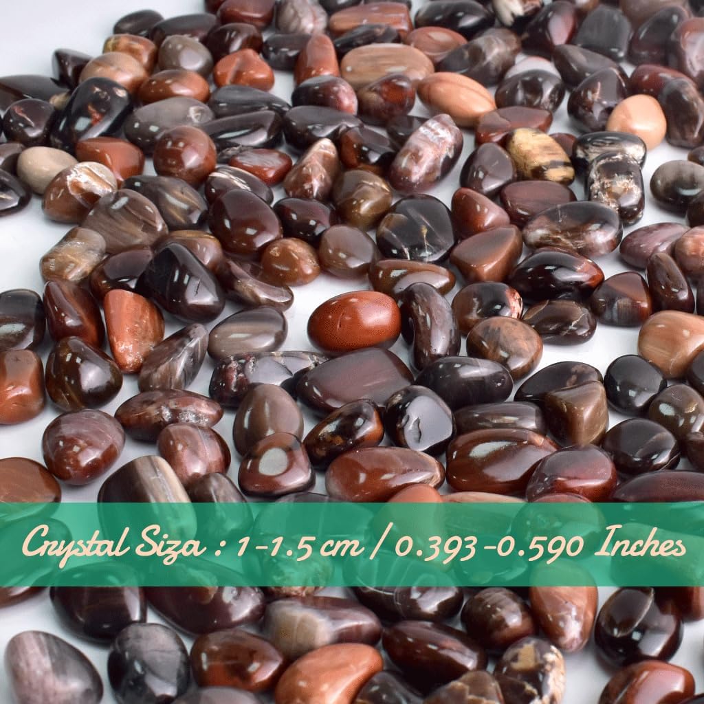 SigMntun Polished Petrified Wood Crystals - 72 Pcs, 0.5 10 oz Handpicked Natural Tumbled Gemstones Rocks, Pebbles for Reiki, Cha