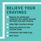 Habitrol Nicotine Lozenges 4 mg Mint Flavor - 135 Count - Stop Smoking Aid - Reduce Cravings and Withdrawal Symptoms