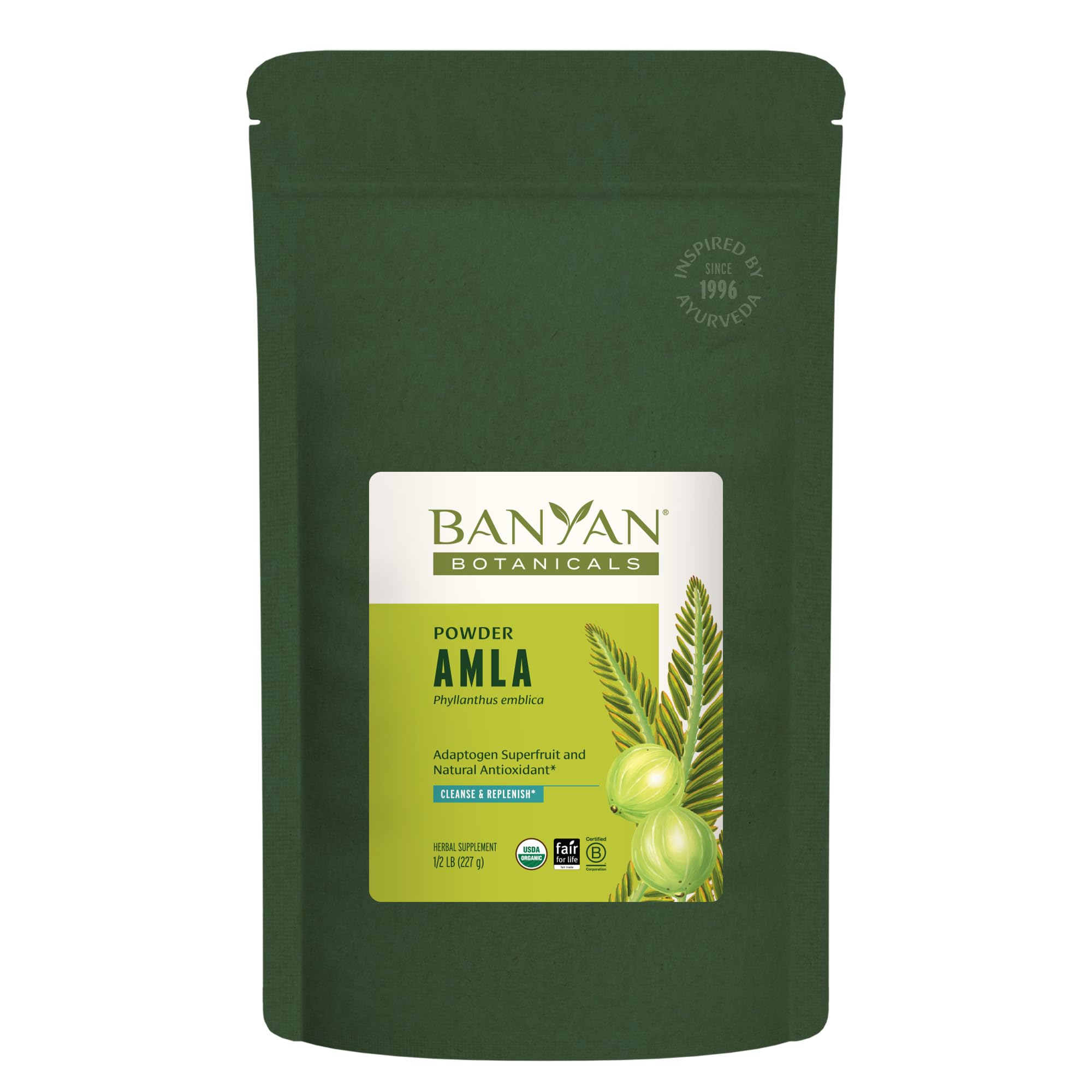 Banyan Botanicals Amla (Amalaki) Powder - Organic Phyllanthus Emblica - Natural Source of Vitamin C and Antioxidants - Supports 