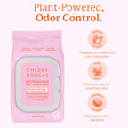 Cheeky Bonsai pH Balanced Feminine Wipes - Removes Odor - Gentle on Sensitive Skin - No Dyes or Parabens - Hypoallergenic - Gyne