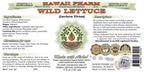 Hawaii Pharm Wild Lettuce Alcohol-Free Liquid Extract, Organic Wild Lettuce (Lactuca Virosa) Dried Herb Glycerite Natural Herbal
