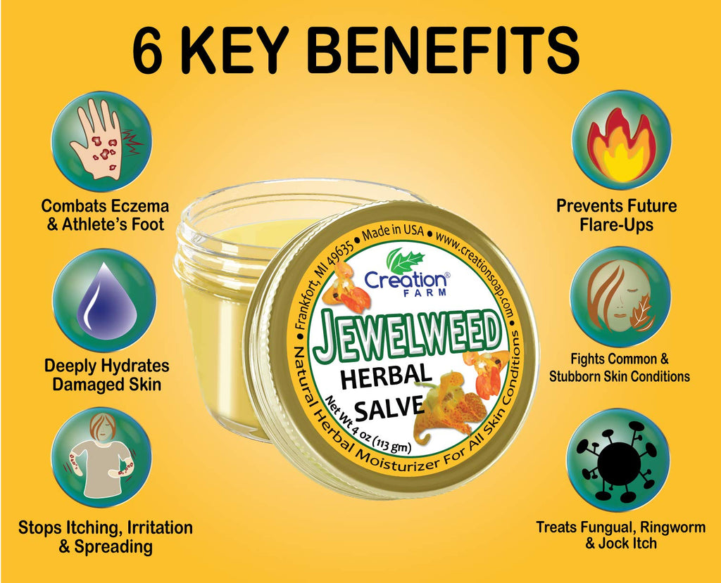 Creation Farm Jewelweed Balm, Poison Ivy Remedy, Herbal Tea Tree Salve Jar Skin Treatment Helps Tattoos, Soothes Rashes, No Glu