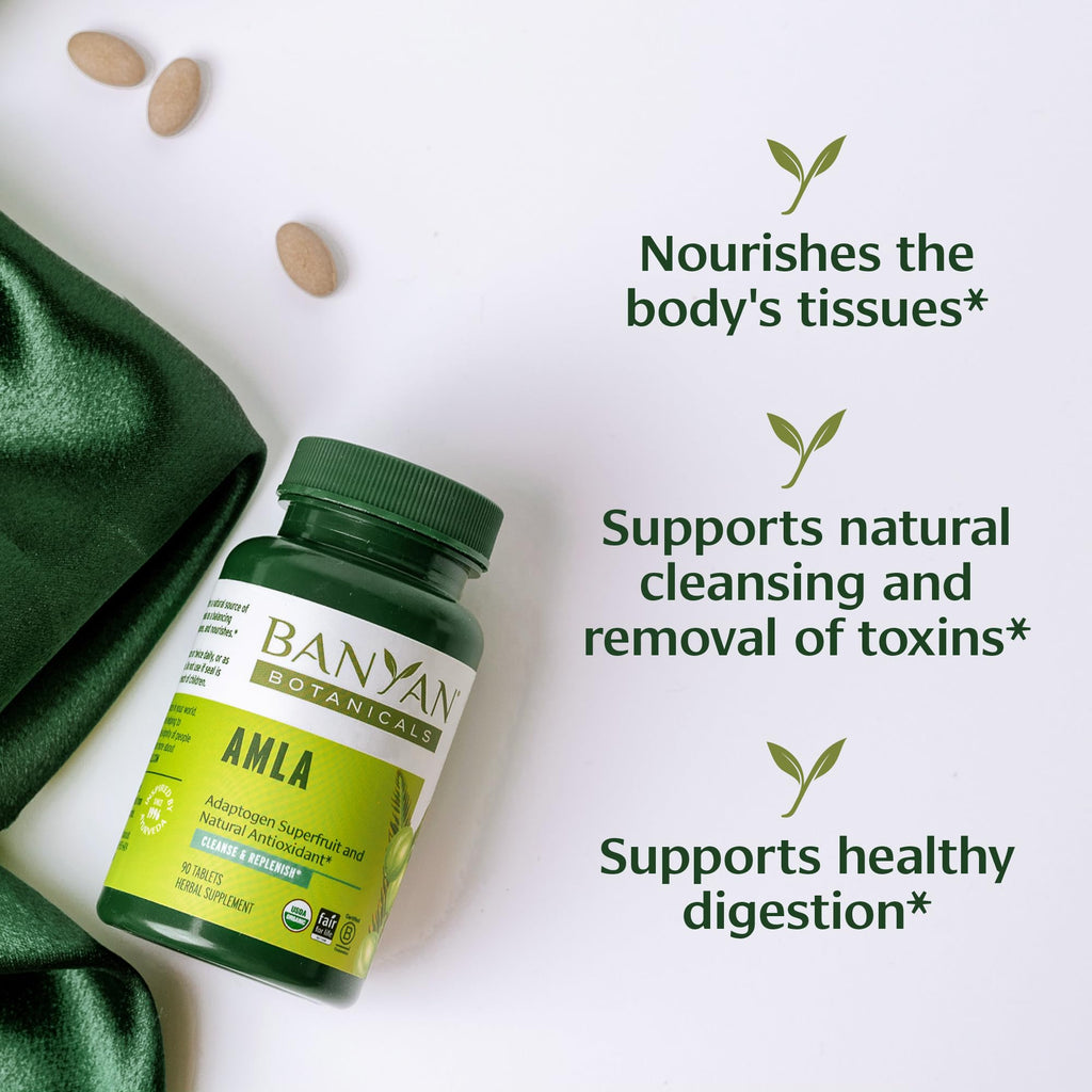 Banyan Botanicals Amla (Amalaki) Tablets - Organic Emblica Officinalis - Natural Source of Vitamin C and Antioxidants - Supports