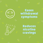 Wellness Basics - Mini Nicotine Lozenge (2mg - 135 Count) Stop Smoking Aid - Reduces Withdrawal Symptoms - Mint Flavor (Pack of