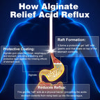 QUBIT Sodium Alginate for Acid Reflux - No Aftertaste & Taste Well, Easy to Swallow, for Silent Reflux, Heartburn & Indigestion