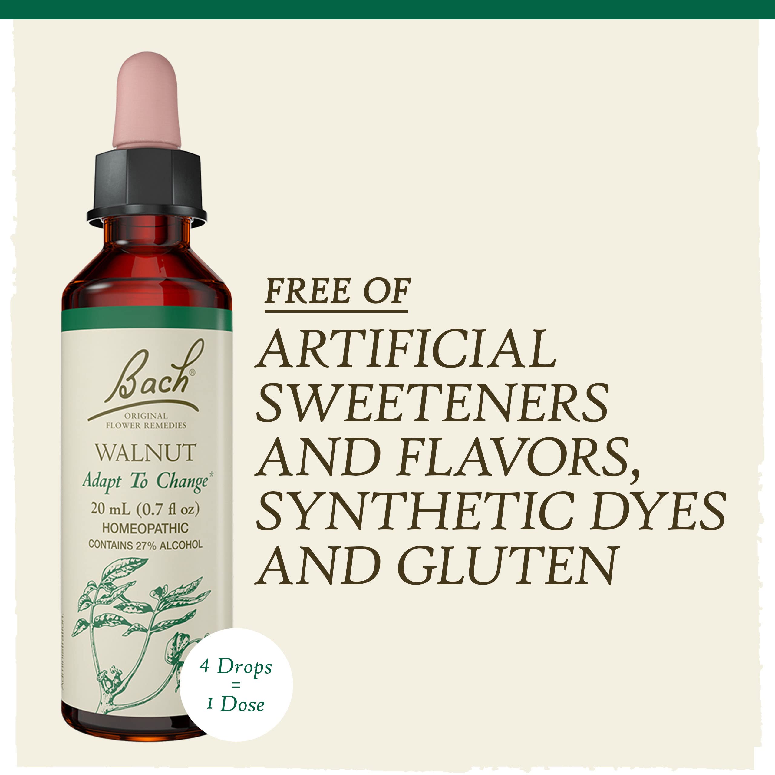 Bach Original Flower Remedies, Walnut for Adapting to Change, Natural Homeopathic Flower Essence, Holistic Wellness and Stress R