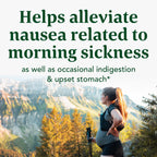 MegaFood Baby & Me 2 Prenatal Morning Sickness Relief Soft Chews -With Real Ginger and Vitamin B6 - Vegetarian - Made Without 9