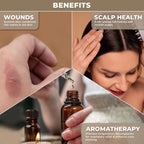 USDA Organic Camphor Essential Oil - 100% Pure, Natural, Steam Distilled Camphor Oil for Aromatherapy, Skin and Hair Care - Ther