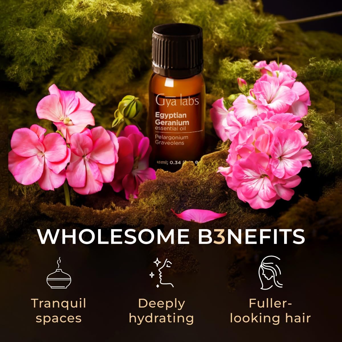 Gya Labs Egyptian Geranium Essential Oil for Diffuser - 0.34 Fl Oz - 100% Pure Natural Aromatherapy Geranium Oil for Skin, Hair