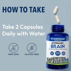 Stonehenge Health Dynamic Brain - Memory, Focus, Clarity & Mental Energy Dietary Supplement (60 Capsules)