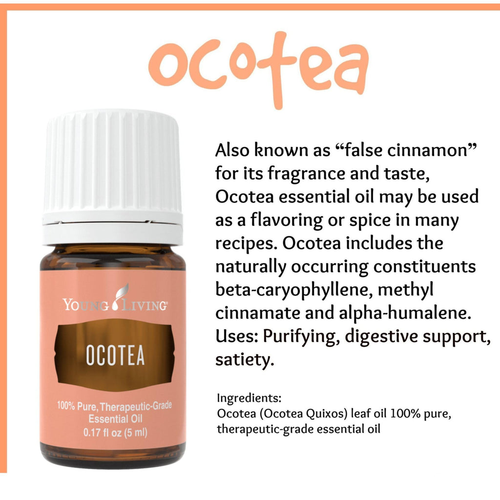 Young Living - Ocotea Essential Oil 5 ml | Used Traditionally in Spiritual Cleansing Rituals | Warm & Spicy Aroma | Cleanses Ski