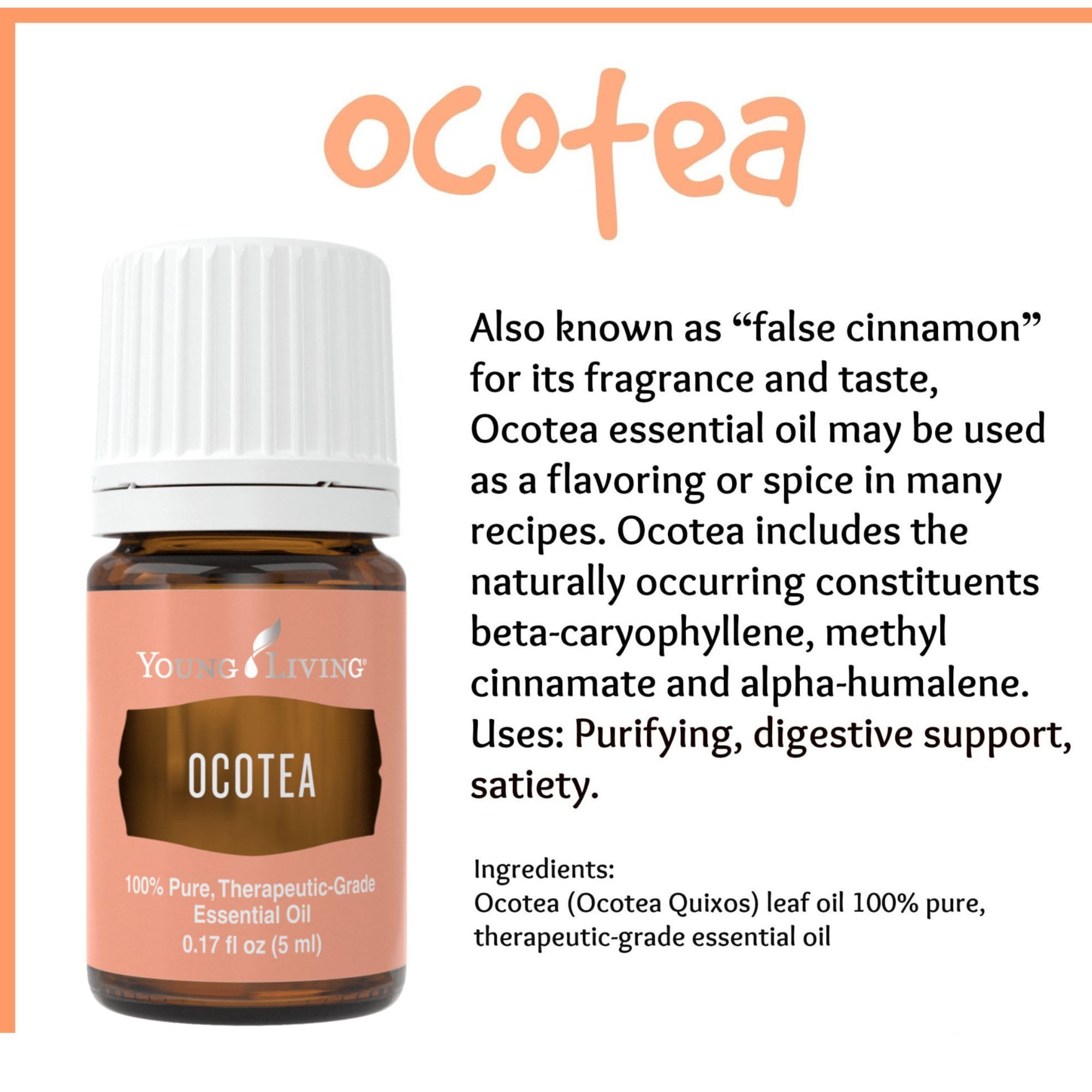 Young Living - Ocotea Essential Oil 5 ml | Used Traditionally in Spiritual Cleansing Rituals | Warm & Spicy Aroma | Cleanses Ski