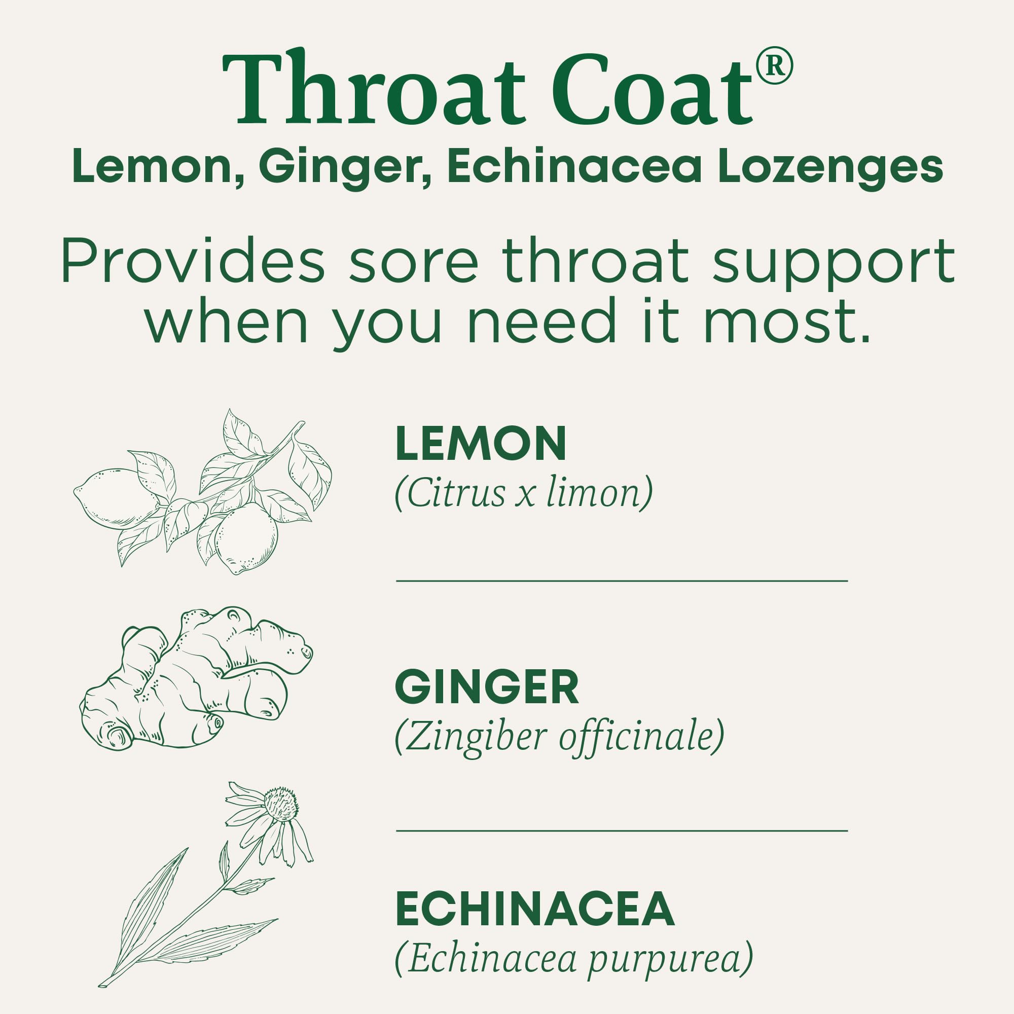 Traditional Medicinals Lozenges, Organic Throat Coat Lemon Ginger Echinacea, Sore Throat Support, 16 Individually Wrapped Lozeng