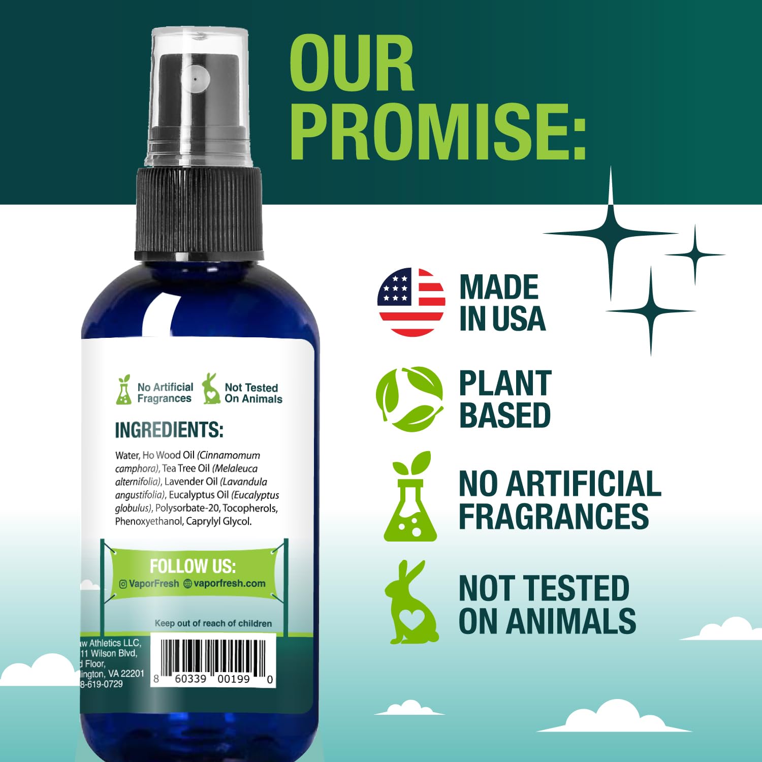 Vapor Fresh Shoe Deodorizer Spray - Odor Eliminator for Smelly Shoes - Eucalyptus Lavender - 4oz (1-pack)