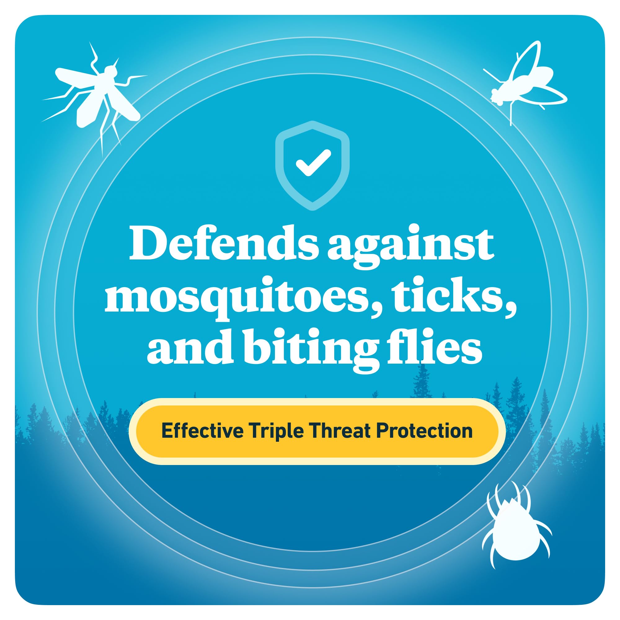 Sawyer Products SP5442 Picaridin Insect Repellent, 4 Fl Oz (Pack of 2) - Packaging May Vary