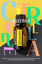 doTERRA Citronella Oil Cymbopogon winterianus