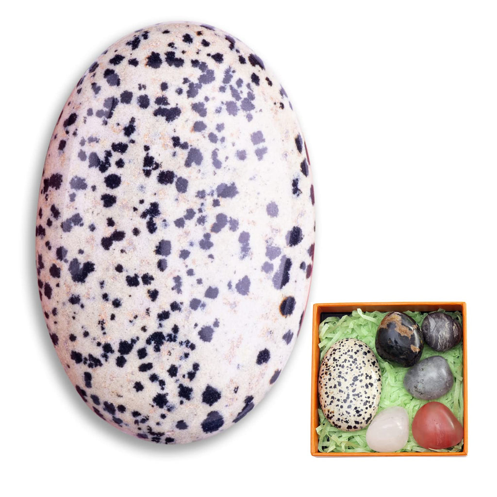 1PC Balmatin Natural Oval Worry Stone 2.4+5 PCs Natural Stones, STINO Real Crystal Dalmatian Palm Stone for Anxitey, Pocket Heal