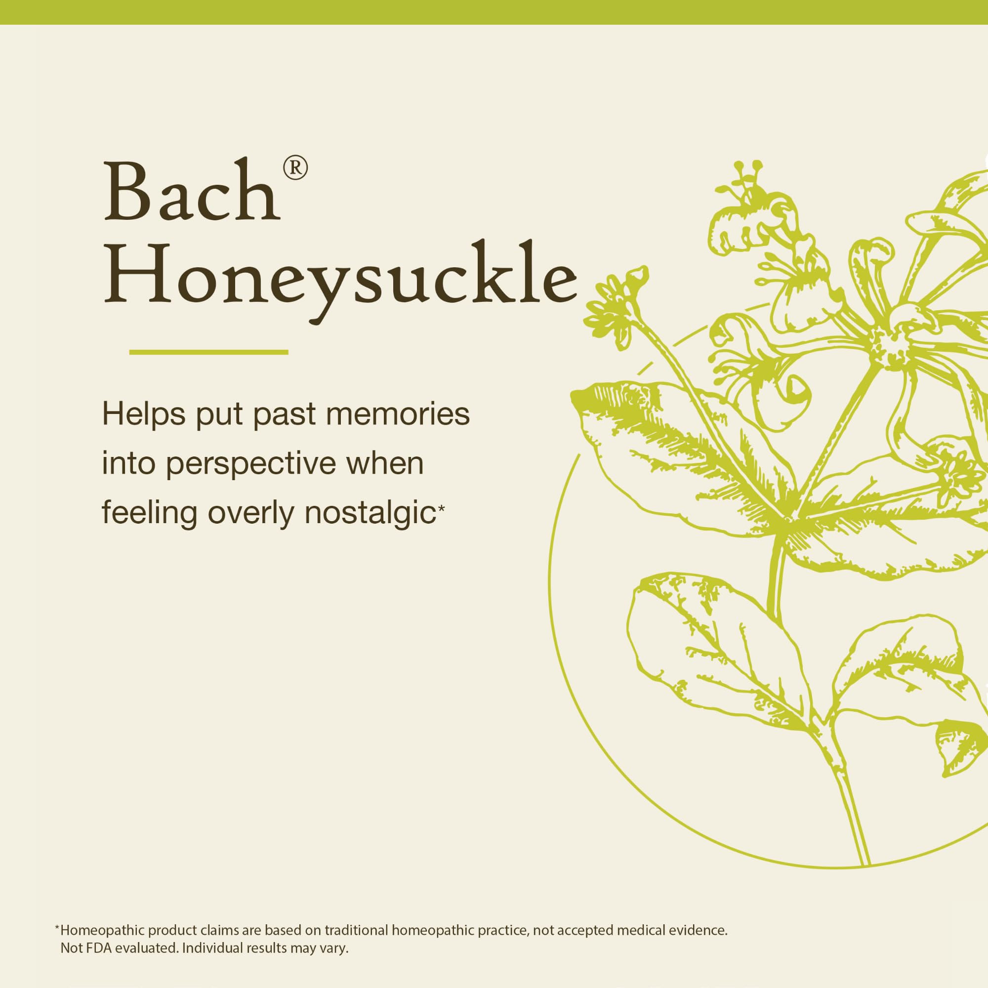 Bach Original Flower Remedies, Honeysuckle - Embrace The Now - Natural Homeopathic Flower Essence for Emotional Balance - Vegan,