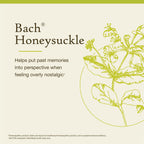 Bach Original Flower Remedies, Honeysuckle - Embrace The Now - Natural Homeopathic Flower Essence for Emotional Balance - Vegan,