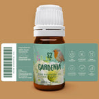 SZ Essentials - Gardenia 100% Pure, Essential Undiluted Oil - Extracted from Gardenia Jasminoides - Floral & Sweet Scent with Fl