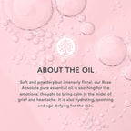 TISSERAND Rose Absolute Oil, 2 ML