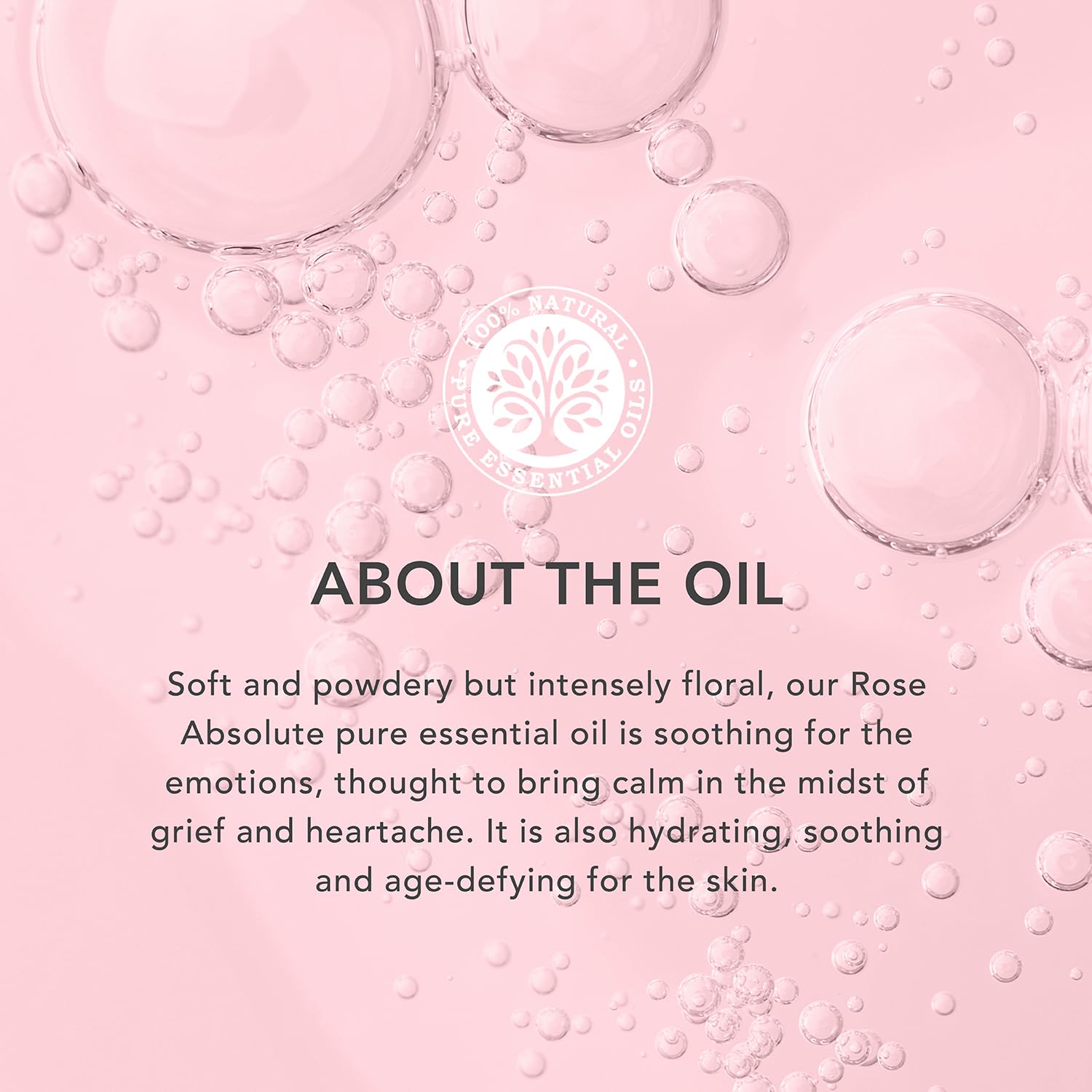 TISSERAND Rose Absolute Oil, 2 ML