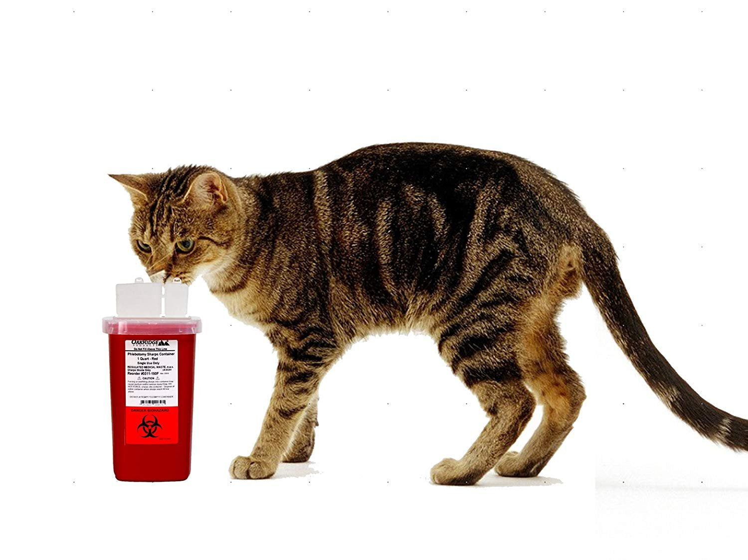 Oakridge Products 1 Quart size Sharps and Needle Container. Integrated needle unwinder