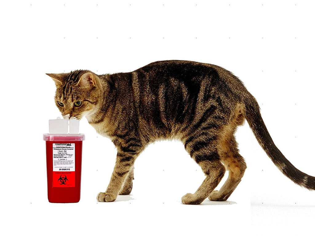 Oakridge Products 1 Quart size Sharps and Needle Container. Integrated needle unwinder